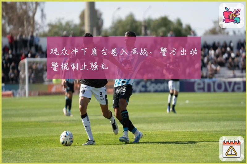 观众冲下看台卷入混战，警方出动警棍制止骚乱